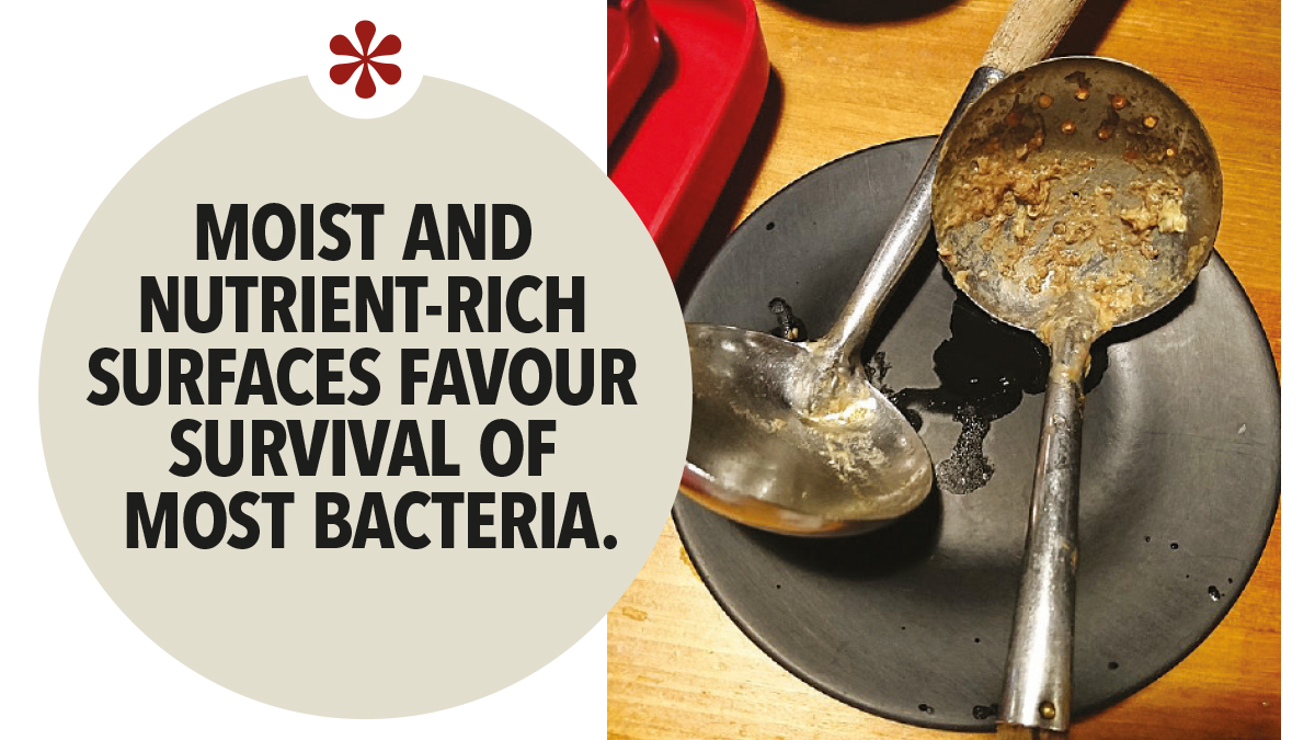 Moist and nutrient-rich surfaces favour survival of most bacteria Moist and nutrient-rich surfaces favour survival of most bacteria